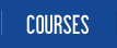 online, e-learn courses in 2d 3d jewellery design, textile, fashion, interior, mechanical designing