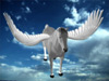 Character Rigging in Discreet Maya  movie-based online tutorial