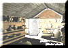aonlinetraining - distance learning college courses in discreet combustion 3d animation, 3d  modelling, multimedia, rendering, walkthrough views, film special effects, virtual reality, animated logos for websites