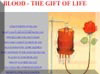 Project in Web Designing 9