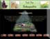 Project in Web Designing at Compufield